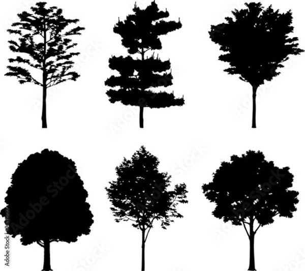 Fototapeta Set isolated trees. Silhouettes