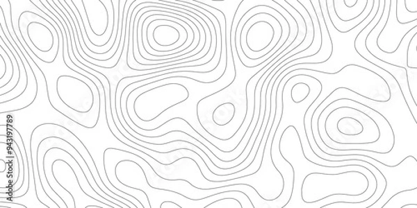 Obraz Mapping in White: The Topographical Topology of Vectors