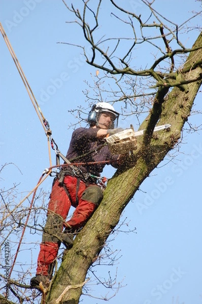 Obraz Seilklettertechnik