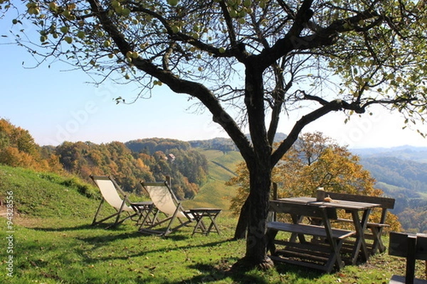 Fototapeta Weinstraße 2015 29