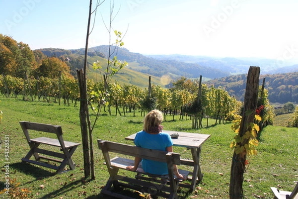 Fototapeta Weinstraße 2015 21