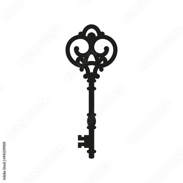 Fototapeta The black silhouette of the key. A simple flat vector illustration on a white background