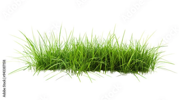 Fototapeta Patch of grass