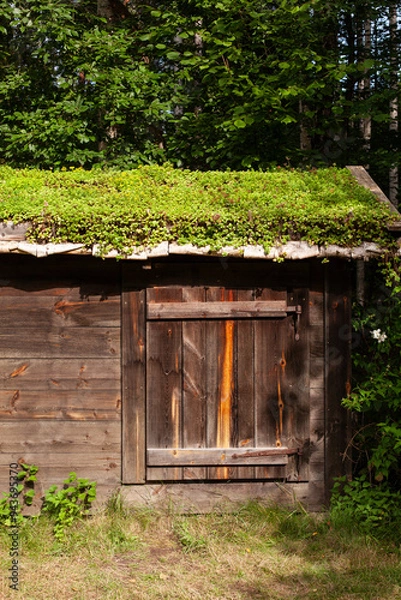 Fototapeta Grünes Moos auf dem Dach einer alten Scheune in Skandinavien. Traditionell bemoostes Dach. Green moss on the roof of an old barn in Scandinavia. Traditional moss-covered roof.