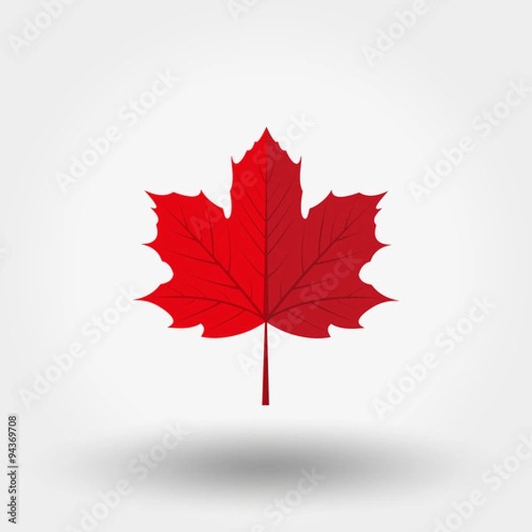 Fototapeta Red maple leaf icon.