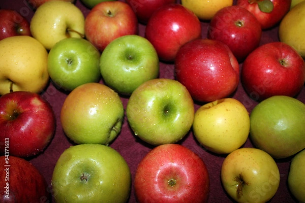 Obraz Apples Drying After Being Rinsed