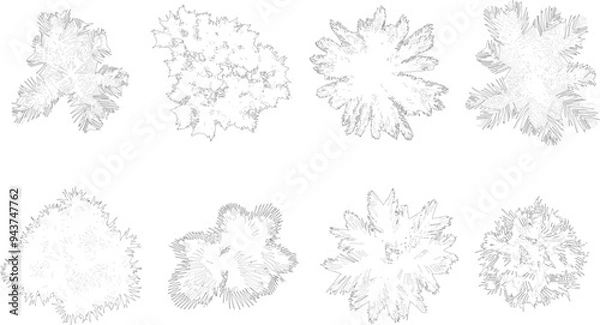 Obraz Tree Palm top plan line silhouettes	