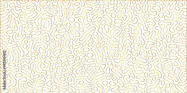 Fototapeta Abstract seamless turing pattern minimal organic geometric white background. golden stock line abstract pattern Transparent monochrome striped texture, seamless pattern, modern stylish texture.