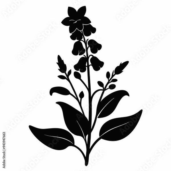 Obraz Lobelia Black silhouette