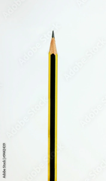 Obraz A yellow and black pencil