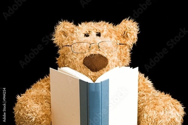 Obraz teddy bear reading