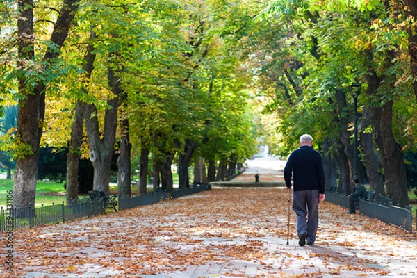 Obraz Parque