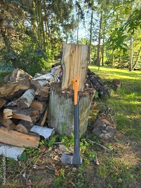 Obraz firewood in the forest