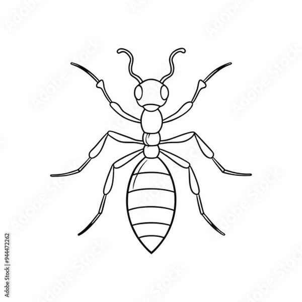 Fototapeta Ants silhouette illustration color Icon on White AND 
 black Vector Backgrounds.