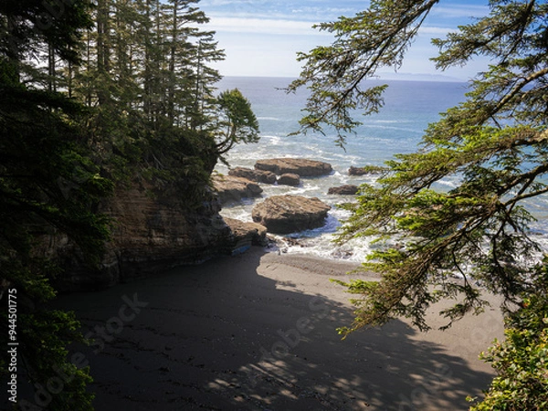 Obraz Ocean from the Trail