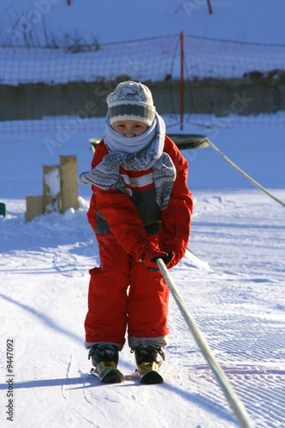 Obraz The mountain skier