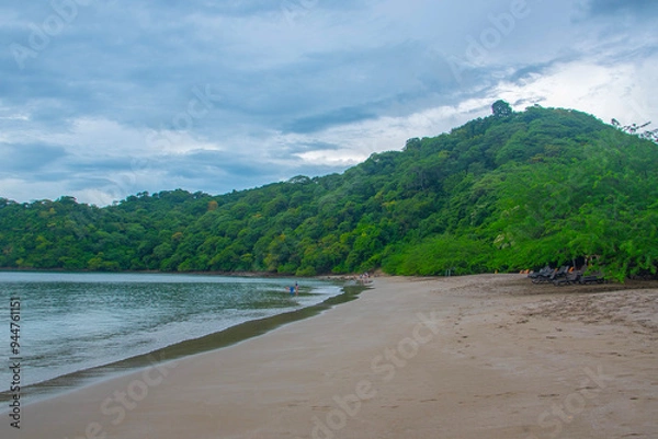 Obraz View of the forest from the sea