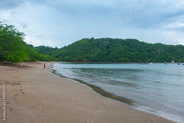 Obraz View of the forest from the sea