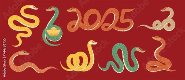 Fototapeta Beautiful snakes illustration set in different movements and colors on red background