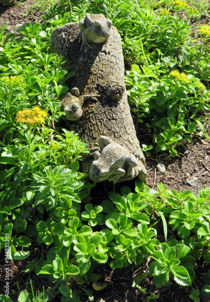 Obraz Frogs on a Log