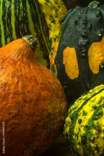 Fototapeta Decorative pumpkins