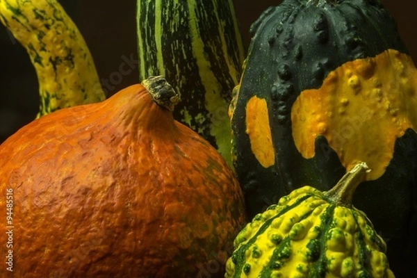 Fototapeta Decorative pumpkins