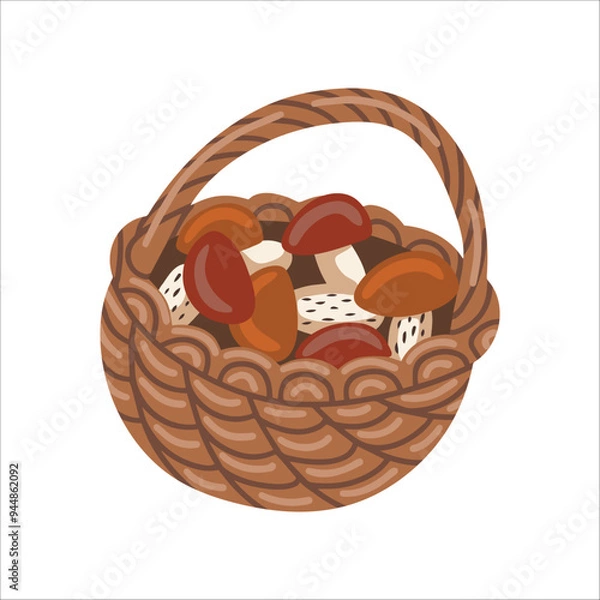 Fototapeta Vector isolated element. A wicker basket with mushrooms. An edible mushroom. Autumn time. Color image on a white background. The print is used for packaging design.