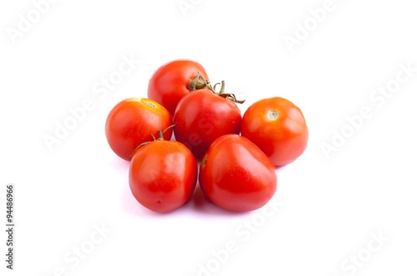 Obraz Tomatoes