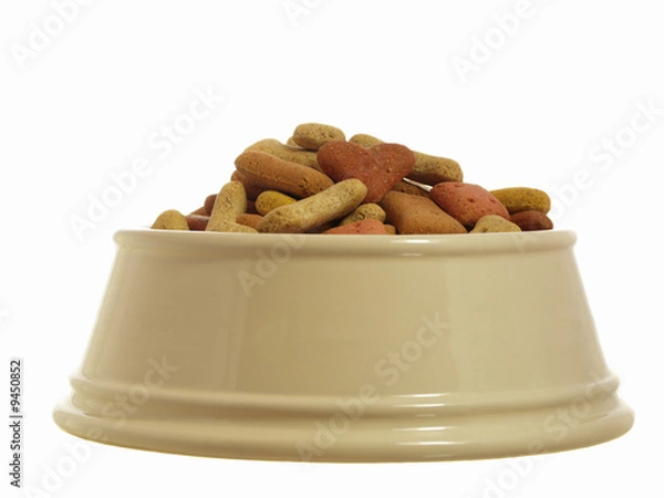 Obraz Stos ciastek dla psów w misce w chińskiej misce