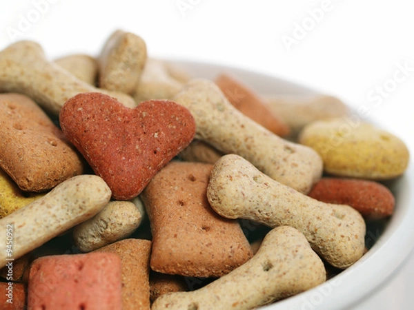 Obraz Dog biscuits in a china bowl. Pet lover concept.
