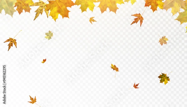 Fototapeta Autumn leaves are scattered randomly on a transparent background. Bright beautiful foliage. Autumn ornament. Vector for web design and illustrations.
