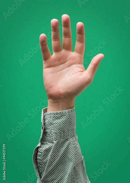 Obraz Raised Male Hand Isolated on Green