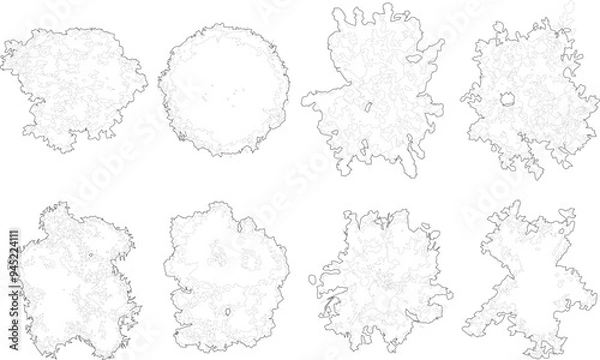 Obraz Tree plan outline silhouettes - top view 5