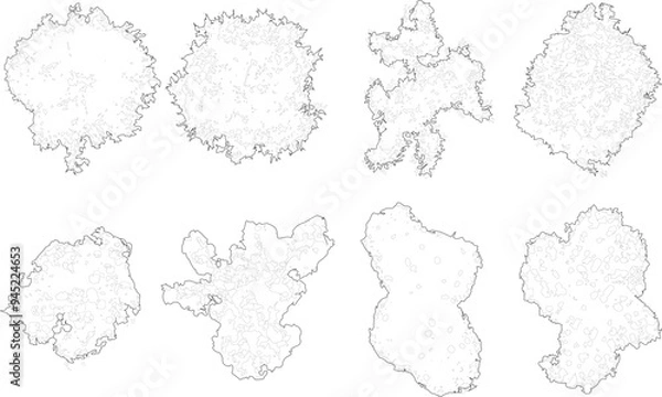 Obraz Tree plan outline silhouettes - top view 6