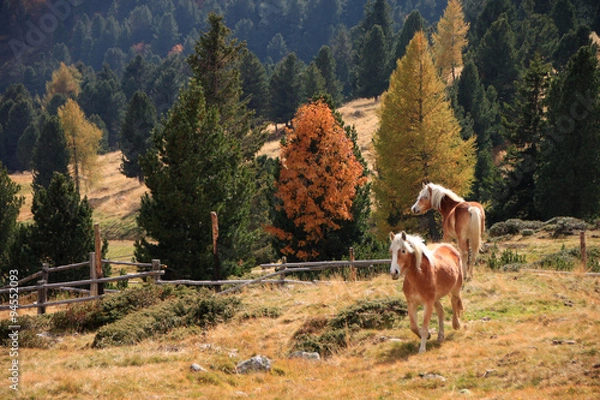 Fototapeta Renon e Villandro, autunno e panorami sulle Dolomiti