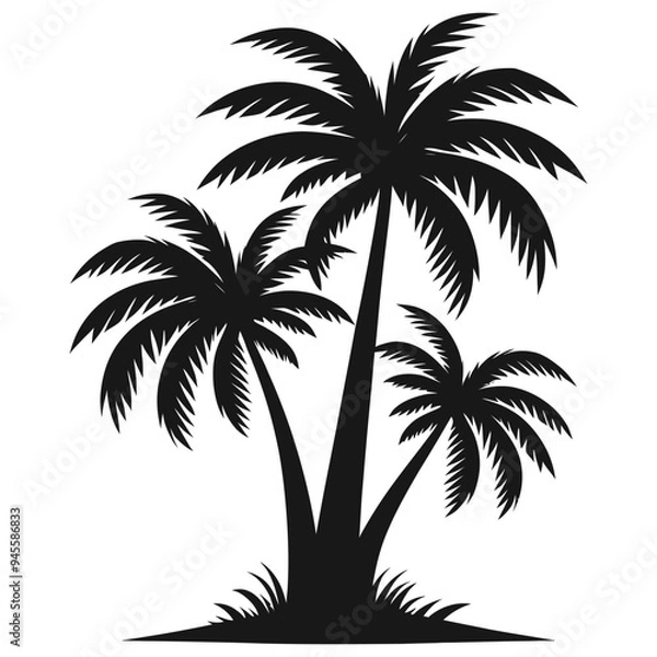 Fototapeta Silhouette palm trees vector illustration black and white isolated on white background