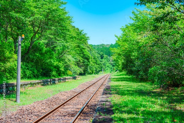 Fototapeta 故郷へと続く線路