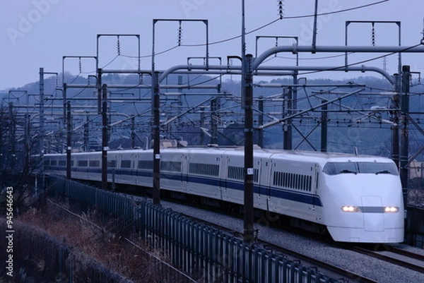 Obraz 曇天の東海道新幹線を長大編成を連ねて駆け抜ける300系新幹線_2010/2/16撮影