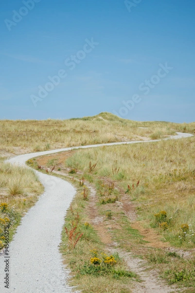 Obraz Bikepath in the dunes