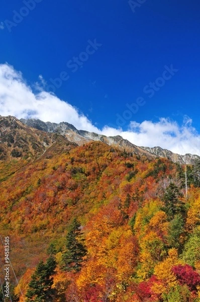 Fototapeta 秋の立山黒部アルペンルート
