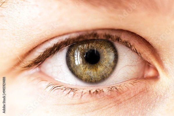 Obraz Close-Up of a Human Eye