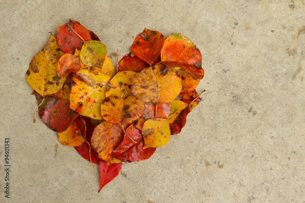 Fototapeta Leaves in a heart on concrete, background