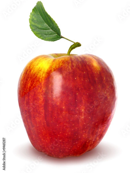 Obraz apple