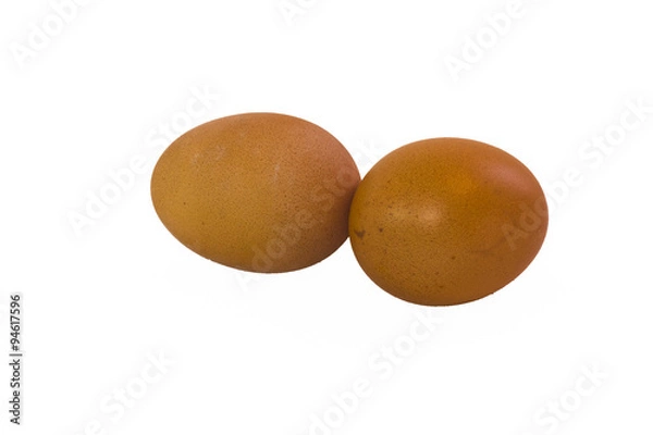 Obraz chicken eggs