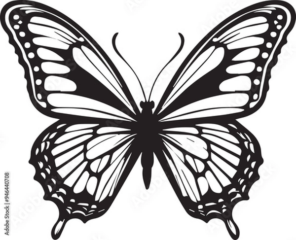 Fototapeta Vector image of a butterfly on a white background