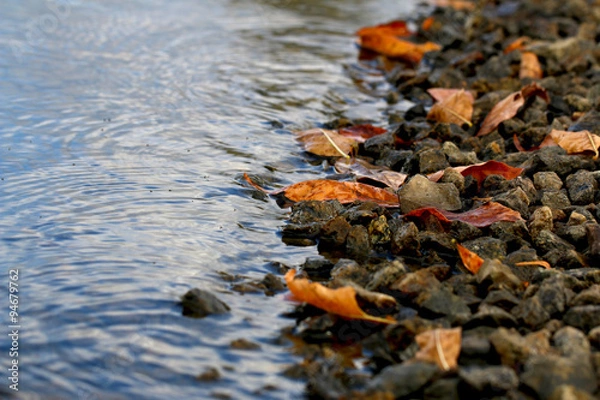 Obraz lake rocks in fall