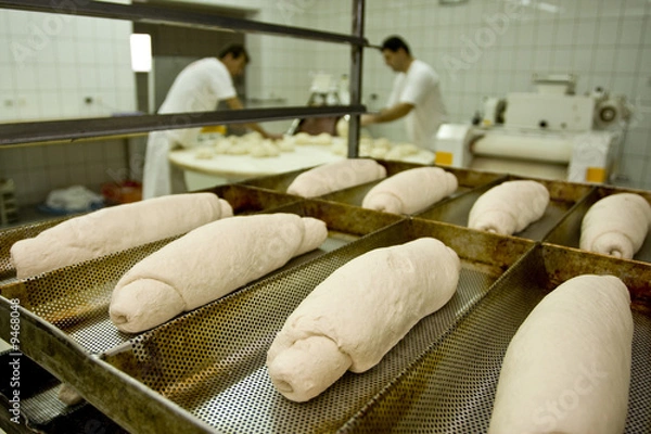 Fototapeta Loafs of bread, seconds before going into the oven
