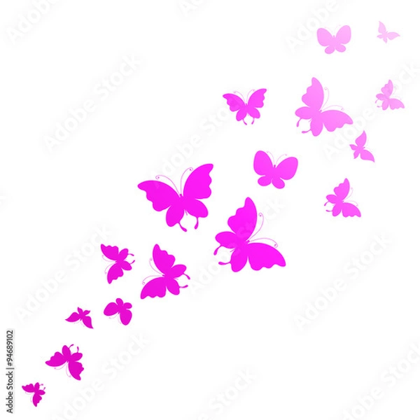 Obraz butterflies design
