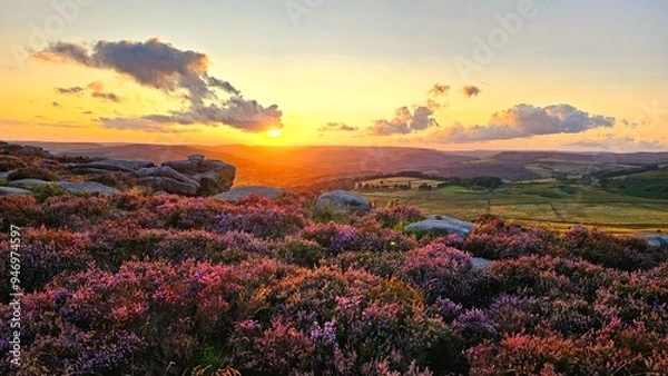 Fototapeta Stunning sunset over Hope Valley from Surprise View, showcasing Millstone Edge and Owler Tor, with vibrant heather in bloom creating a picturesque Peak District landscape.