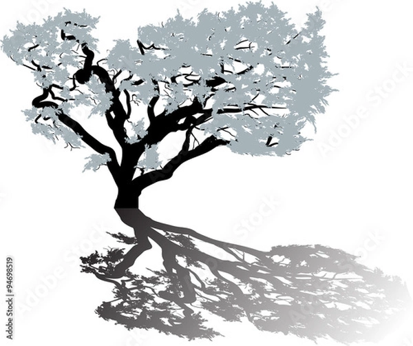 Fototapeta isolated grey tree with shadow